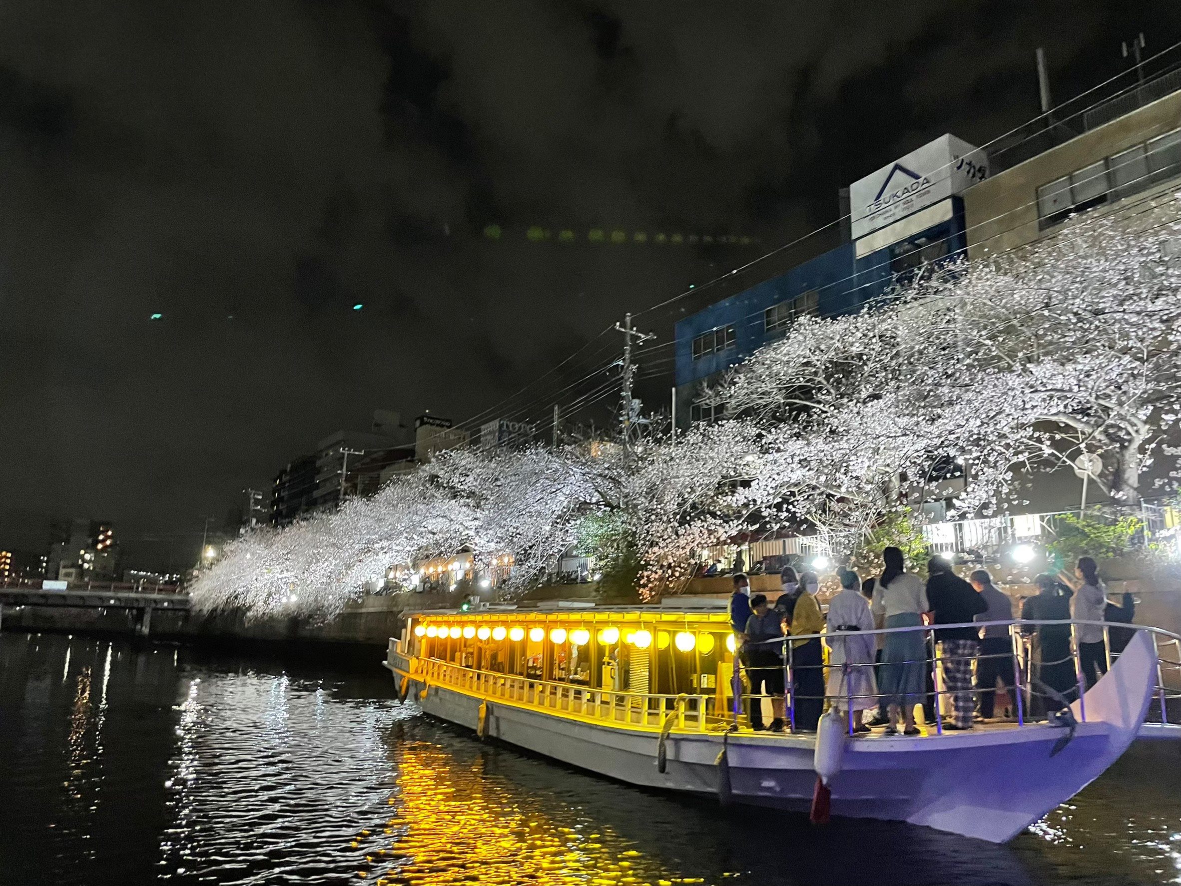 大岡川お花見クルーズ