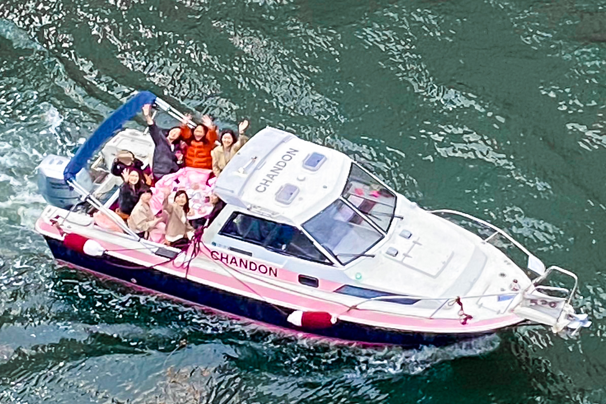 お花見シャンドンクルーズ