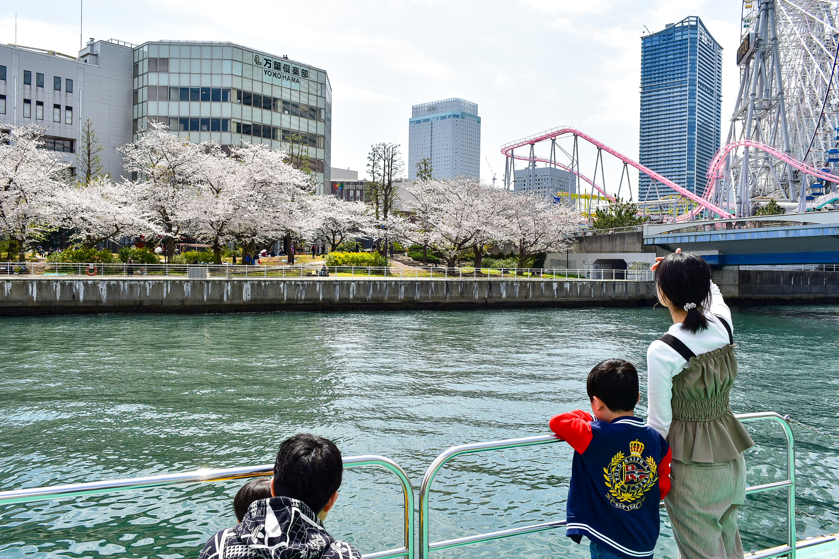 横浜・大岡川のお花見を楽しむ親子