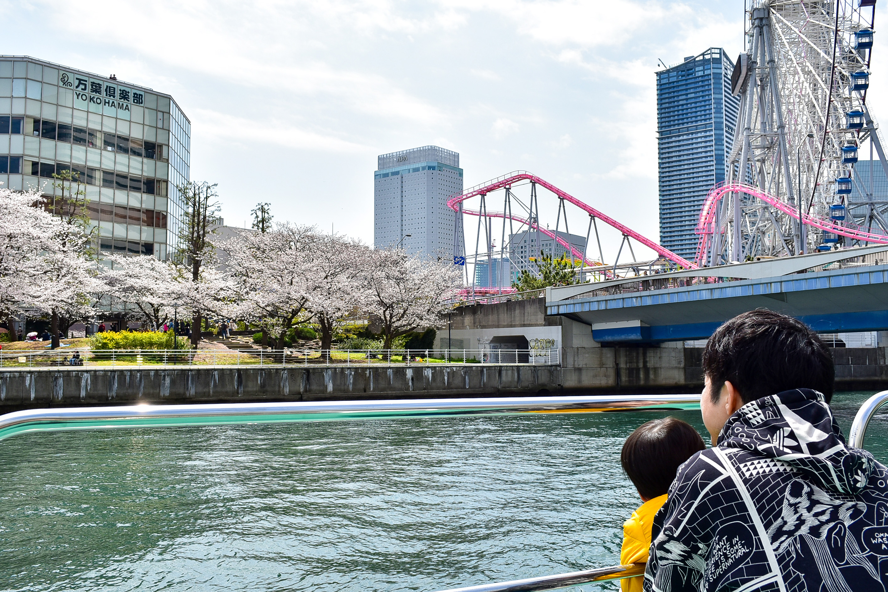 横浜・大岡川のお花見を楽しむ親子