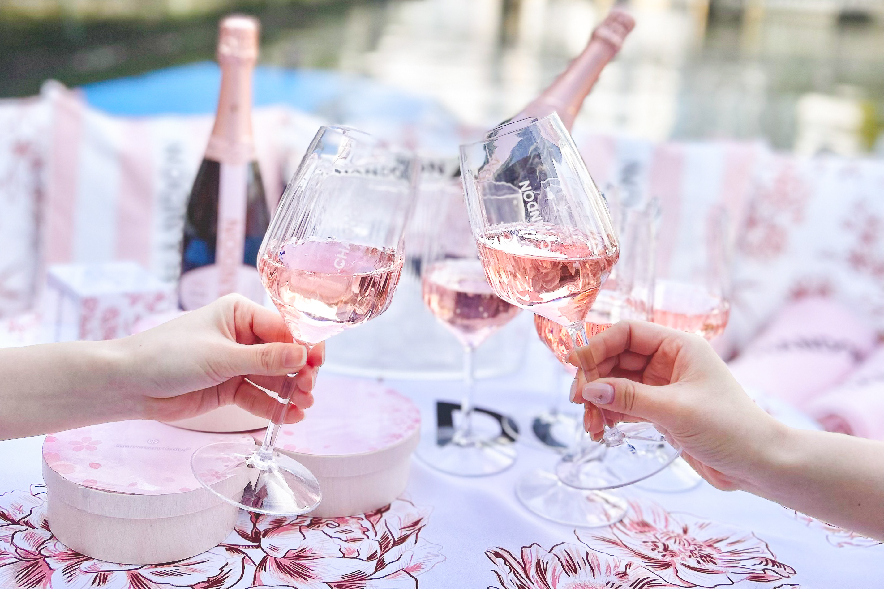 お花見シャンドンクルーズで乾杯