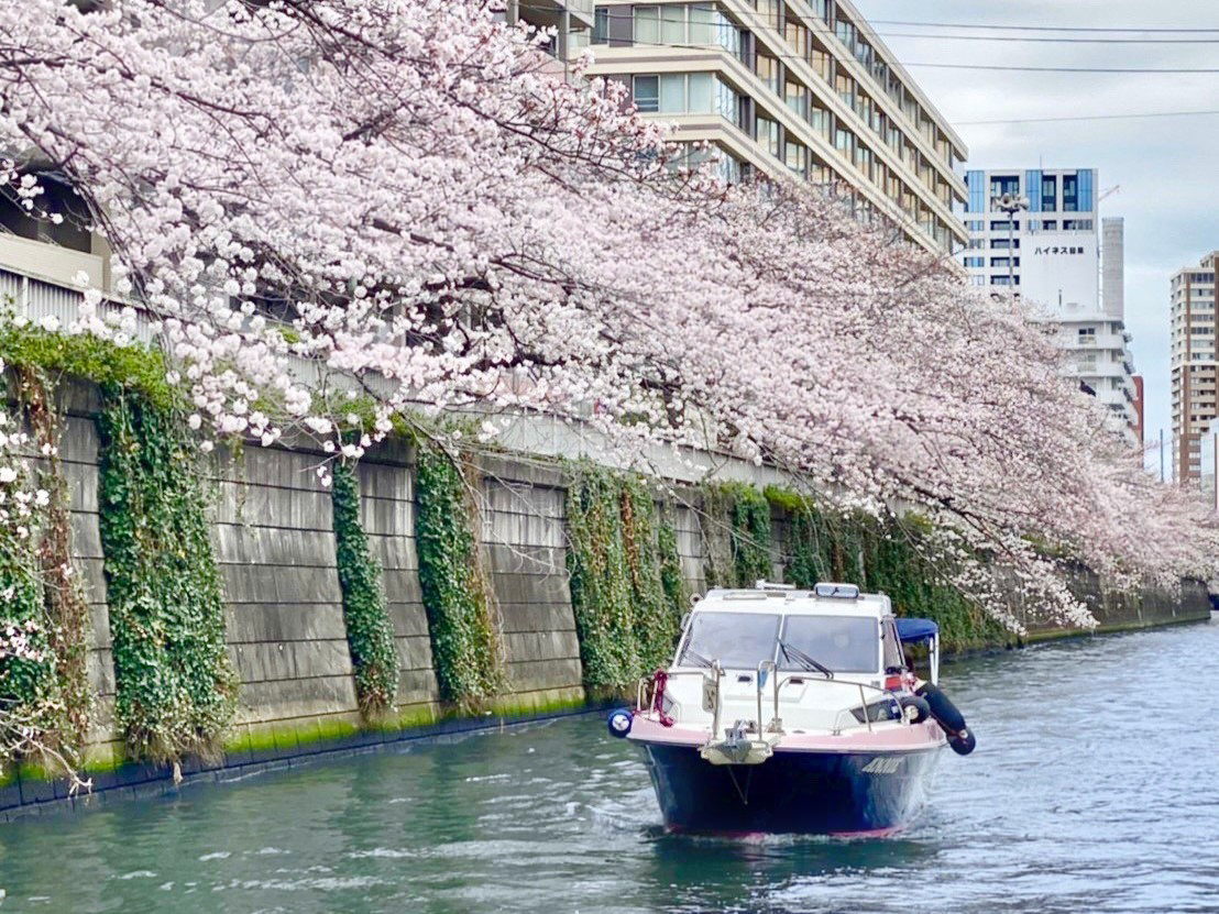 目黑川赏樱香槟游船在富士电视台的“目暗TV”节目“请当记者”环节中进行了报道。